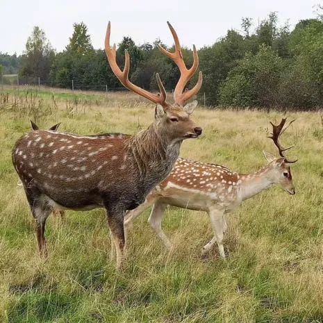 Countryside Farm trip