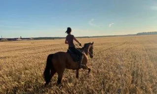 Horseback tour in Saint Petersburg